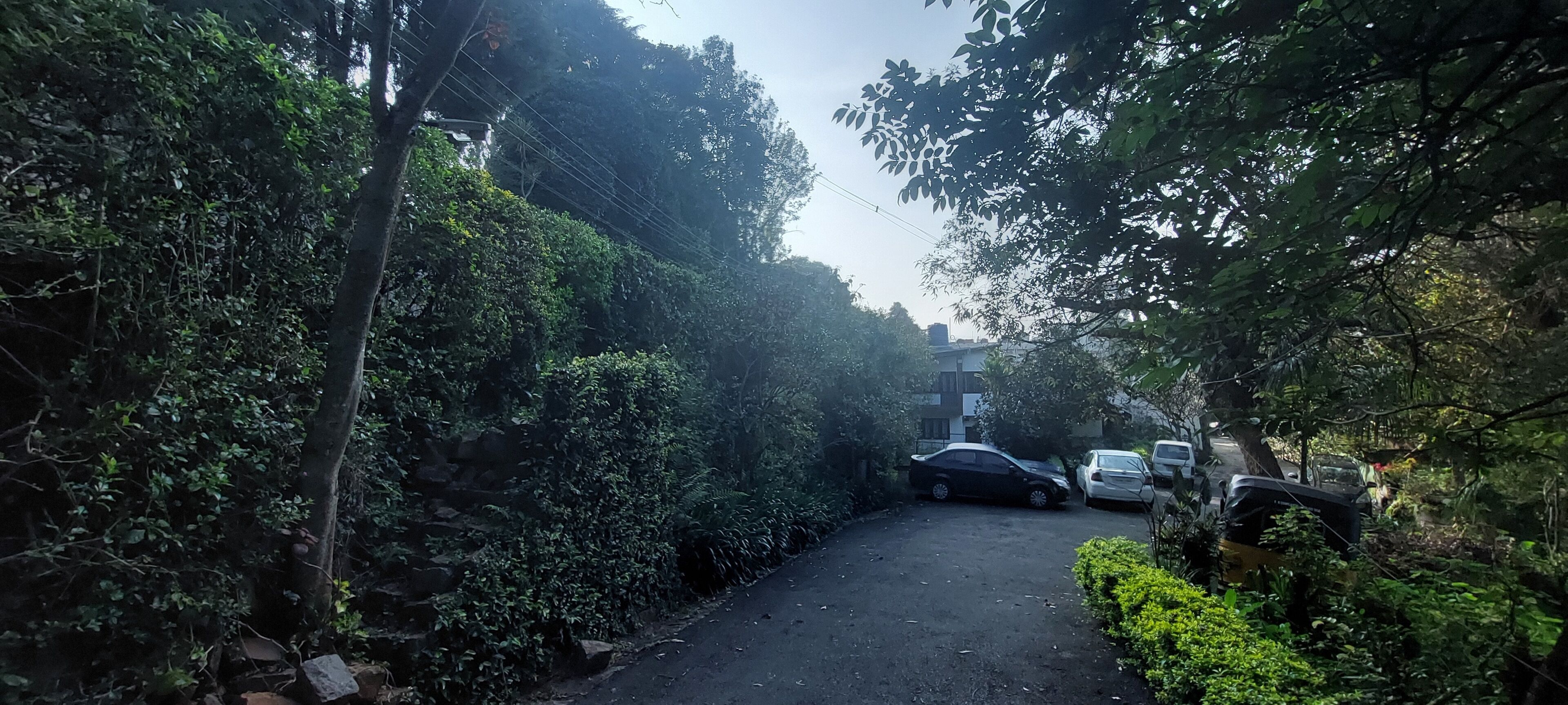 Una calle estrecha bordeada de árboles con coches aparcados a ambos lados.