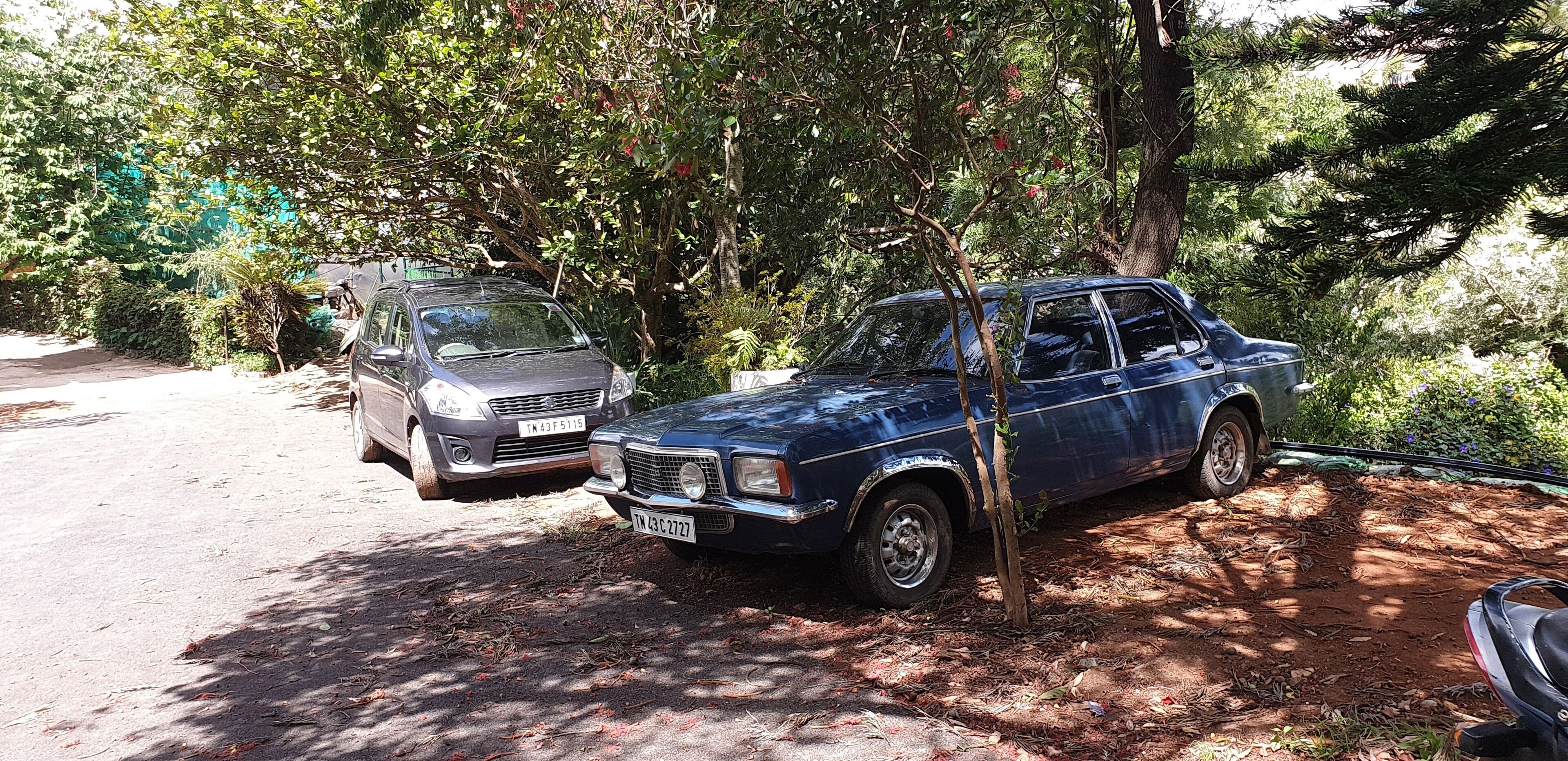 Dos coches estacionados en una zona sombreada con vegetación densa al fondo.