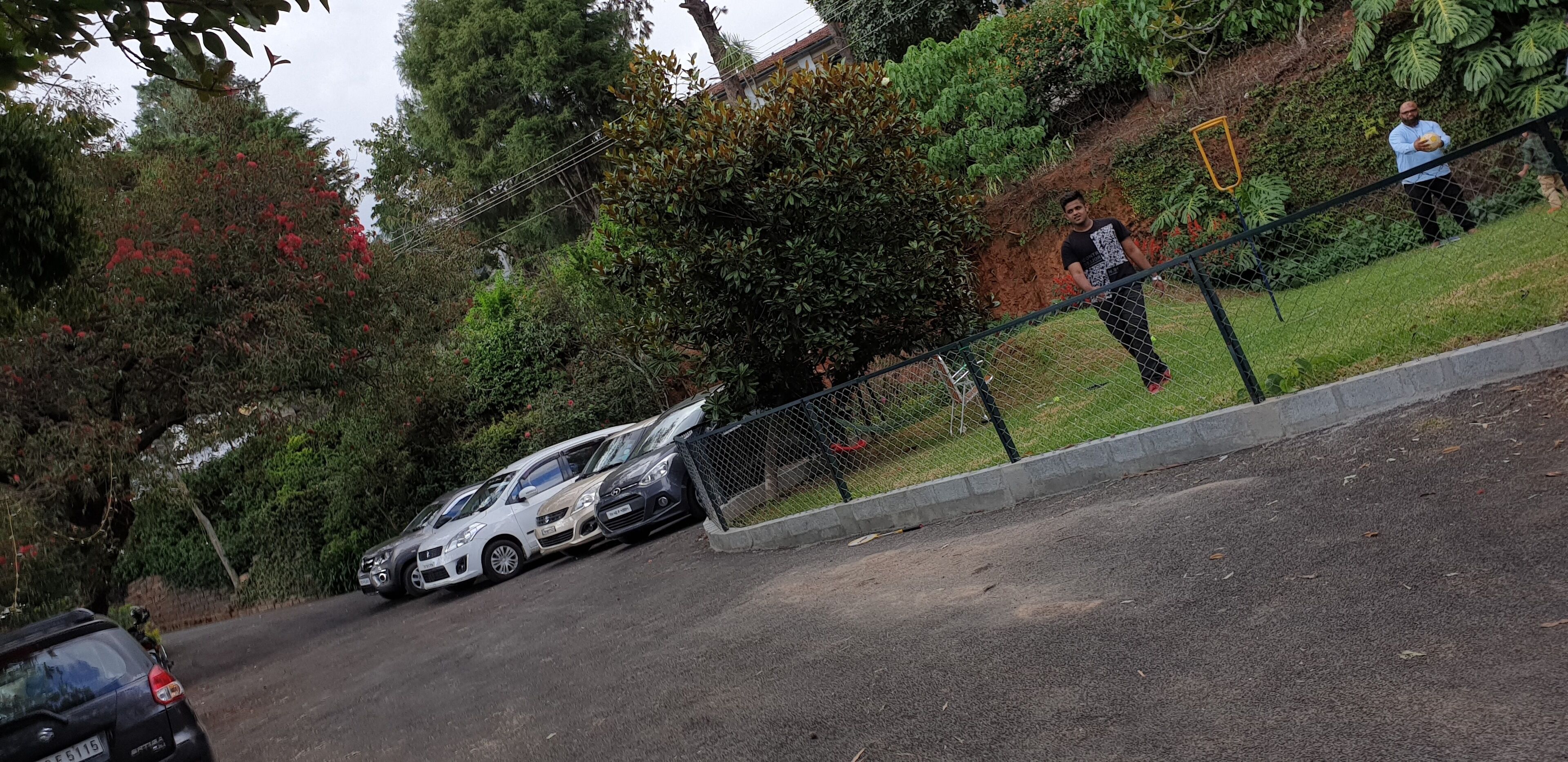 A parking area with several cars, a fence, and greenery.