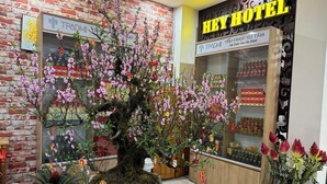 L’intérieur de l’hôtel est conçu dans un style traditionnel, avec un grand arbre en fleurs planté dans un pot au centre, un mur en briques et une enseigne indiquant le nom de l’hôtel.