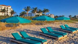 Ein Strand mit Reihen von Liegestühlen und Sonnenschirmen, Palmen und Gebäuden im Hintergrund.