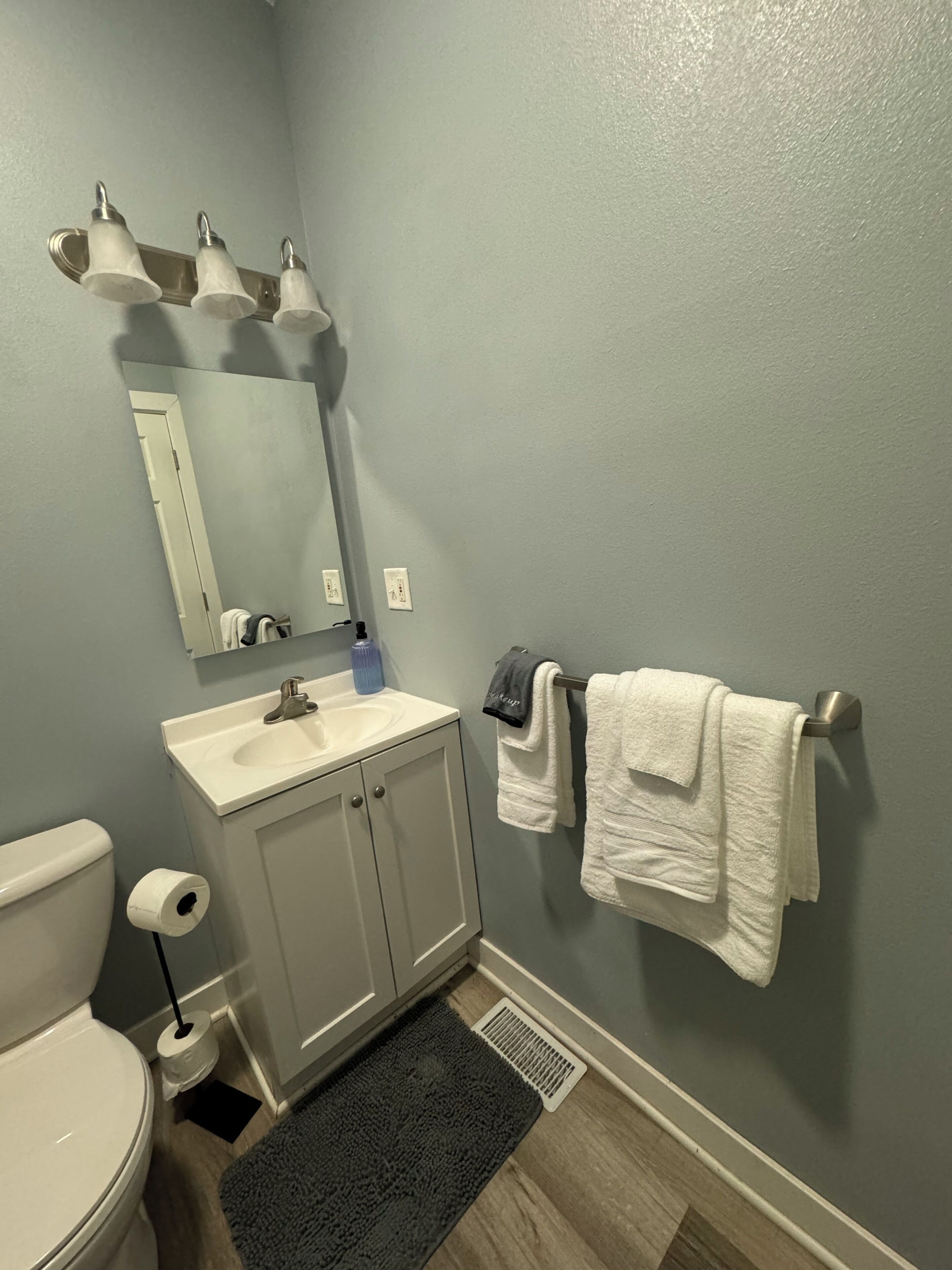 Un baño con inodoro, lavamanos, espejo, toallero y una alfombra oscura.