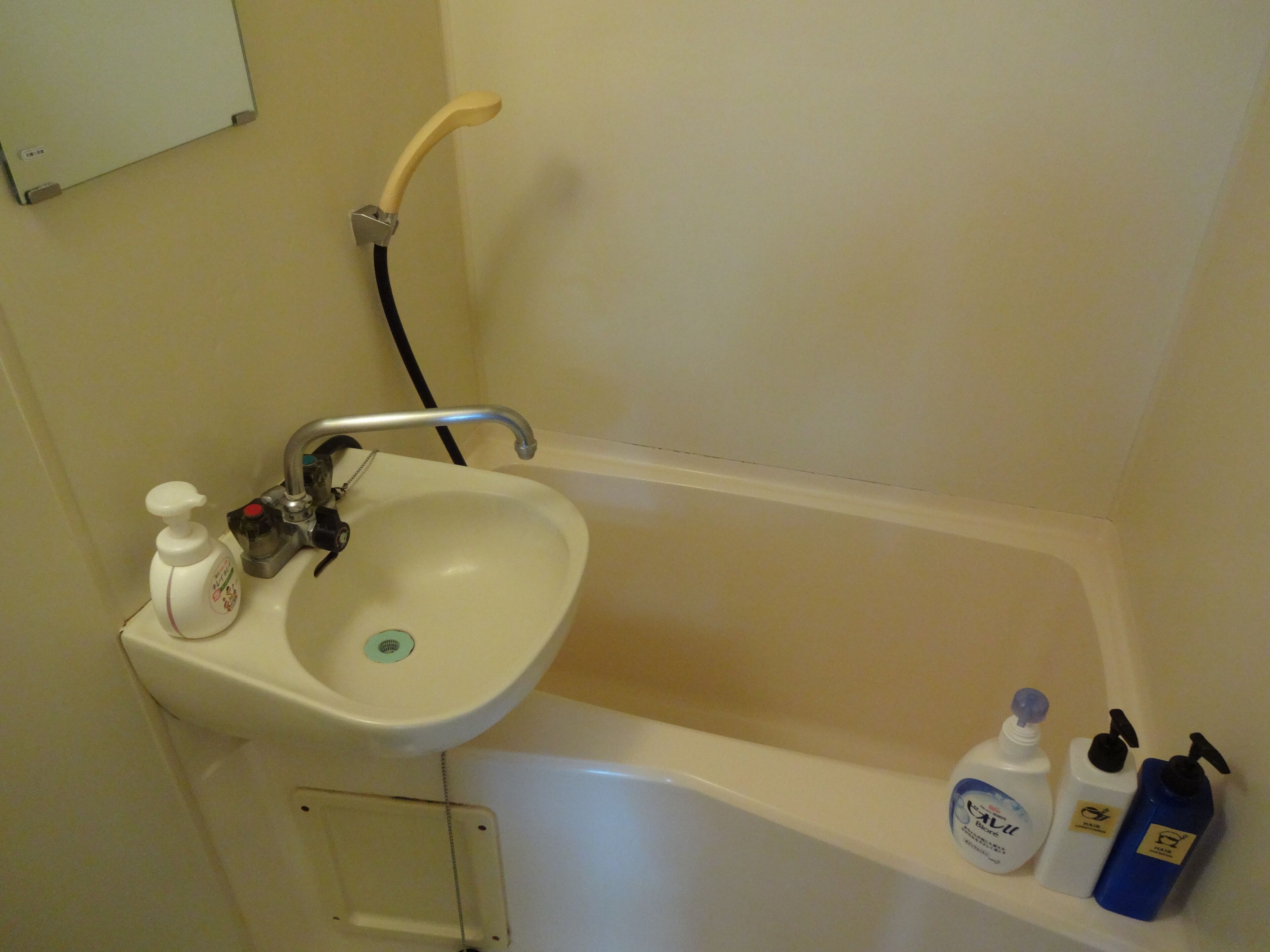 Een badkamer met een wit wastafel, een handdouche en twee flessen toiletartikelen op een plank.