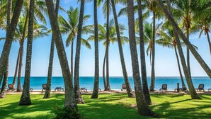 A beach with palm trees and lounge chairs facing the ocean.