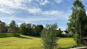 Uklassifisert bilde, 4 av 25, knapp