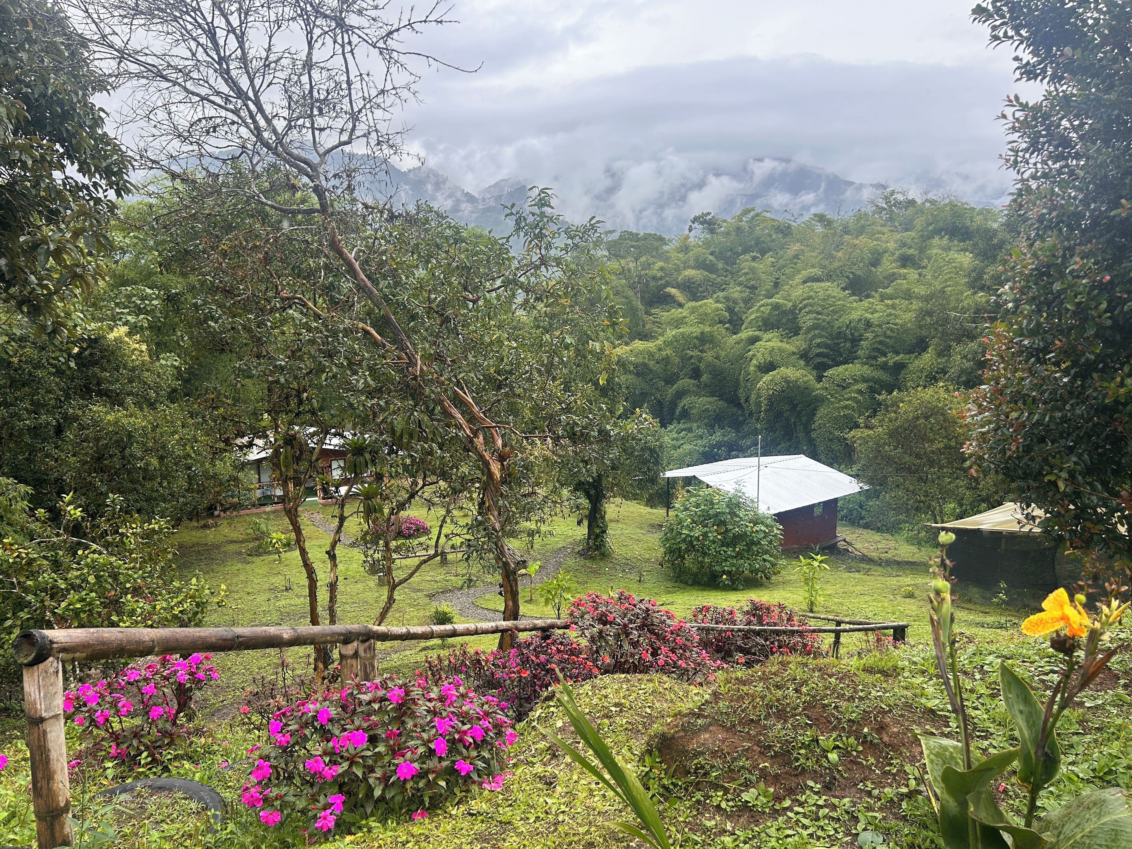 Un jardin luxuriant entouré d’une clôture en bois, un petit bâtiment surmonté d’un toit en tôle ondulée, et en arrière-plan, une forêt dense et des montagnes enveloppées de brume.