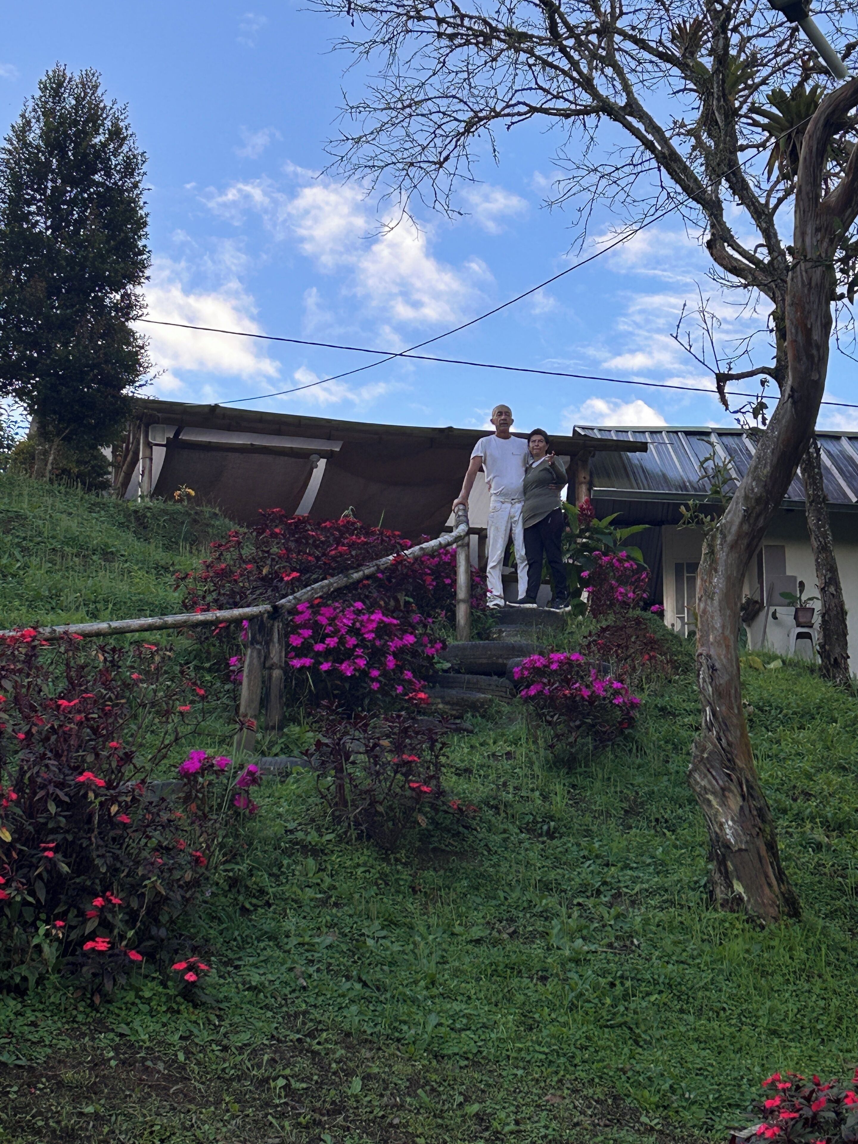 Zona residencial con una casa, una escalera y un jardín con flores rosadas.