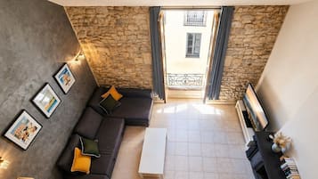 Televisión y libros