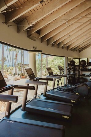 A gym with treadmills, exercise balls, and a view of palm trees.