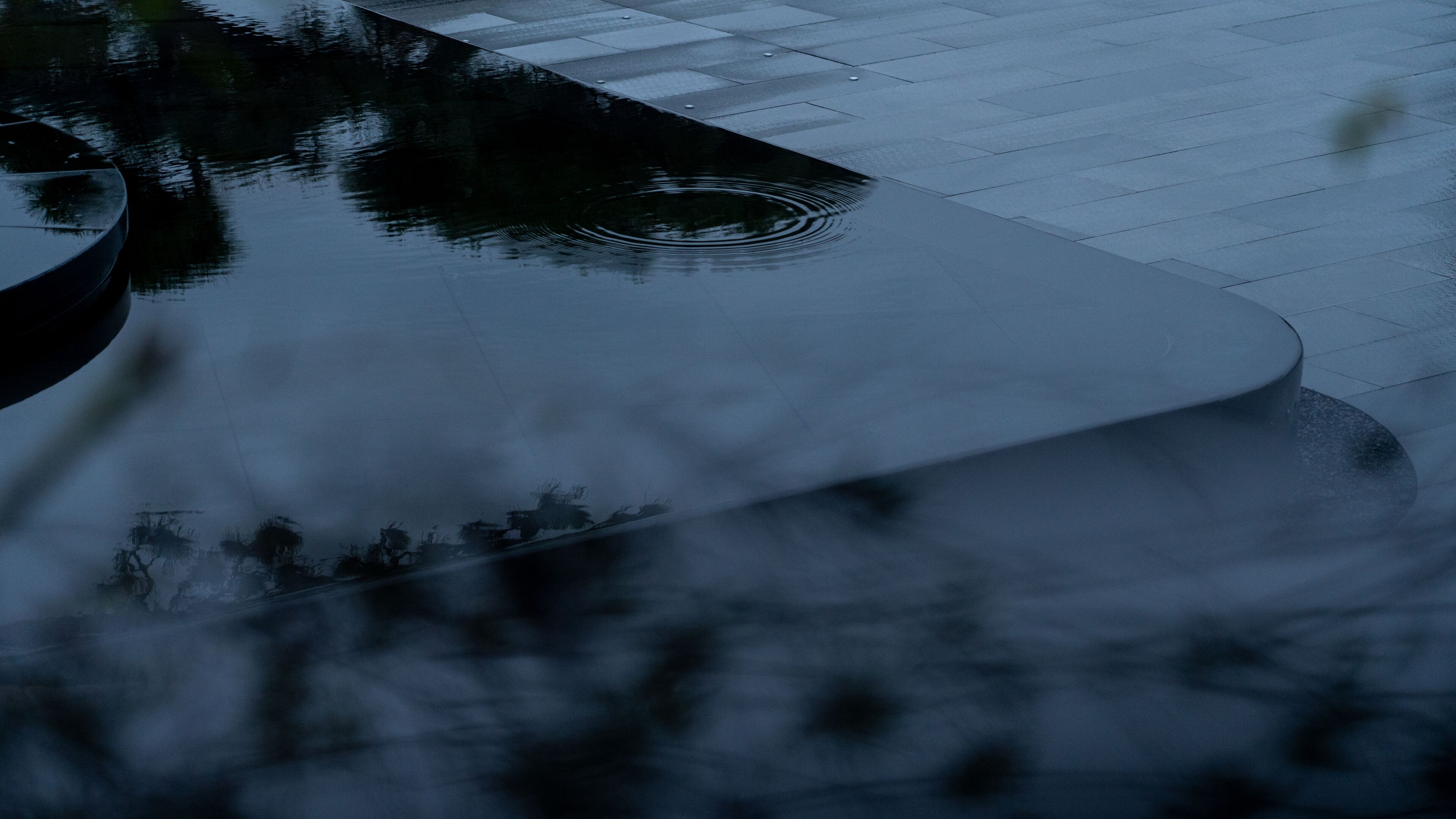 A curved reflective surface with a circular pattern, possibly a pool or water feature, surrounded by a paved area.