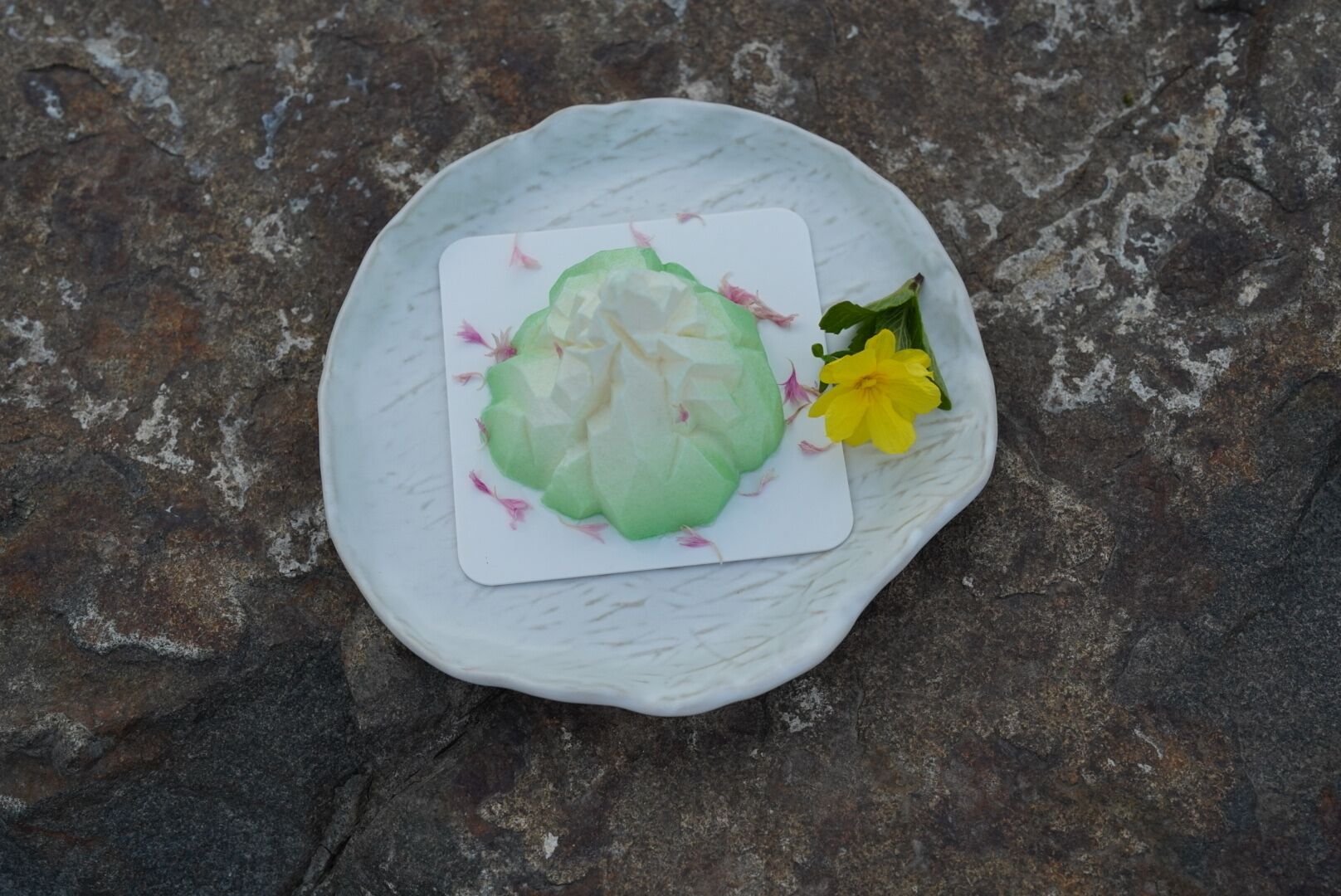 A white plate with a green food item and a yellow flower on a textured stone surface.