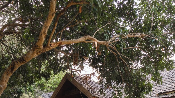 A wooden building with a balcony and a gravel pathway. - Ban MaeBo Local Stay (Mae Rim)