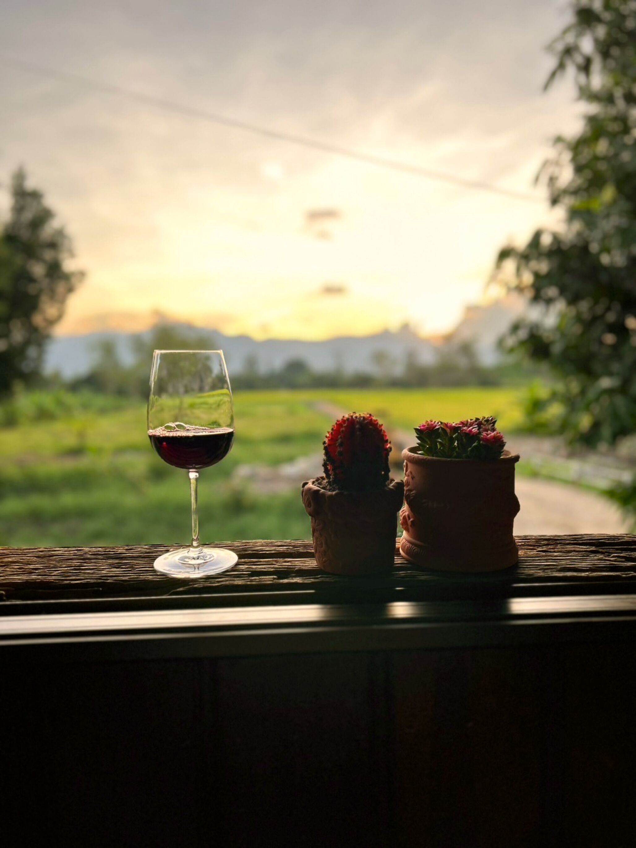 A glass of red wine on a wooden surface with two potted plants beside it, overlooking a rural landscape during sunset.
