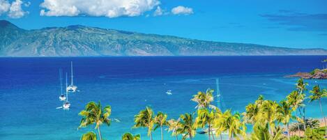 Una spiaggia nelle vicinanze