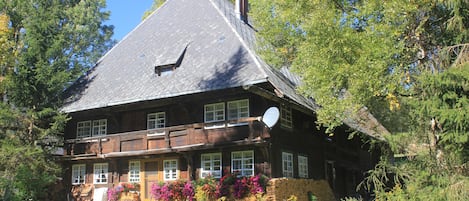 Extérieur