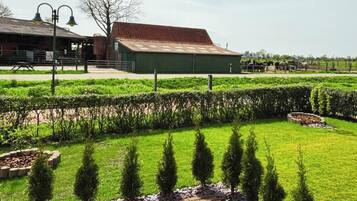 Terrein van de accommodatie