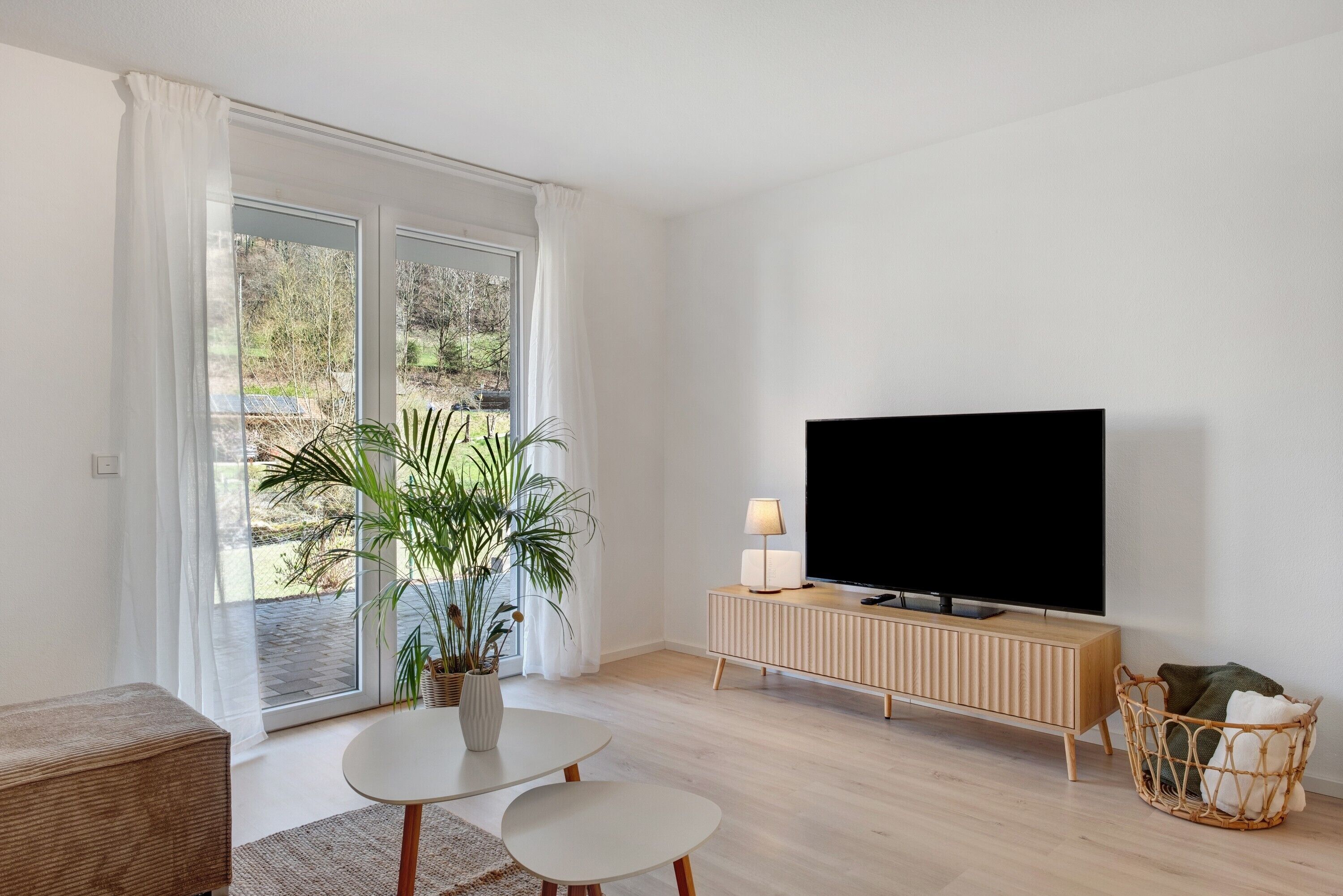Fernseher
