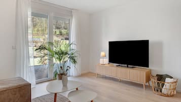 Fernseher