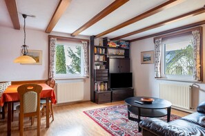 TV, fireplace, DVD player