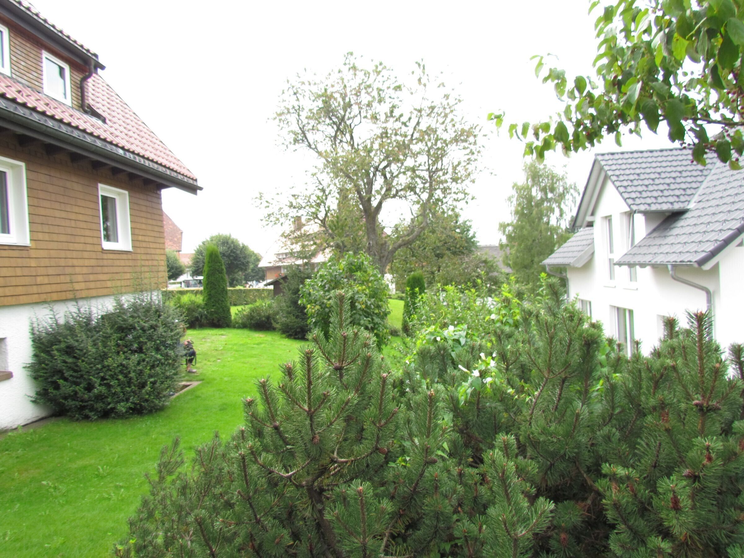 A residential area with houses, a well-maintained lawn, and a variety of trees.
