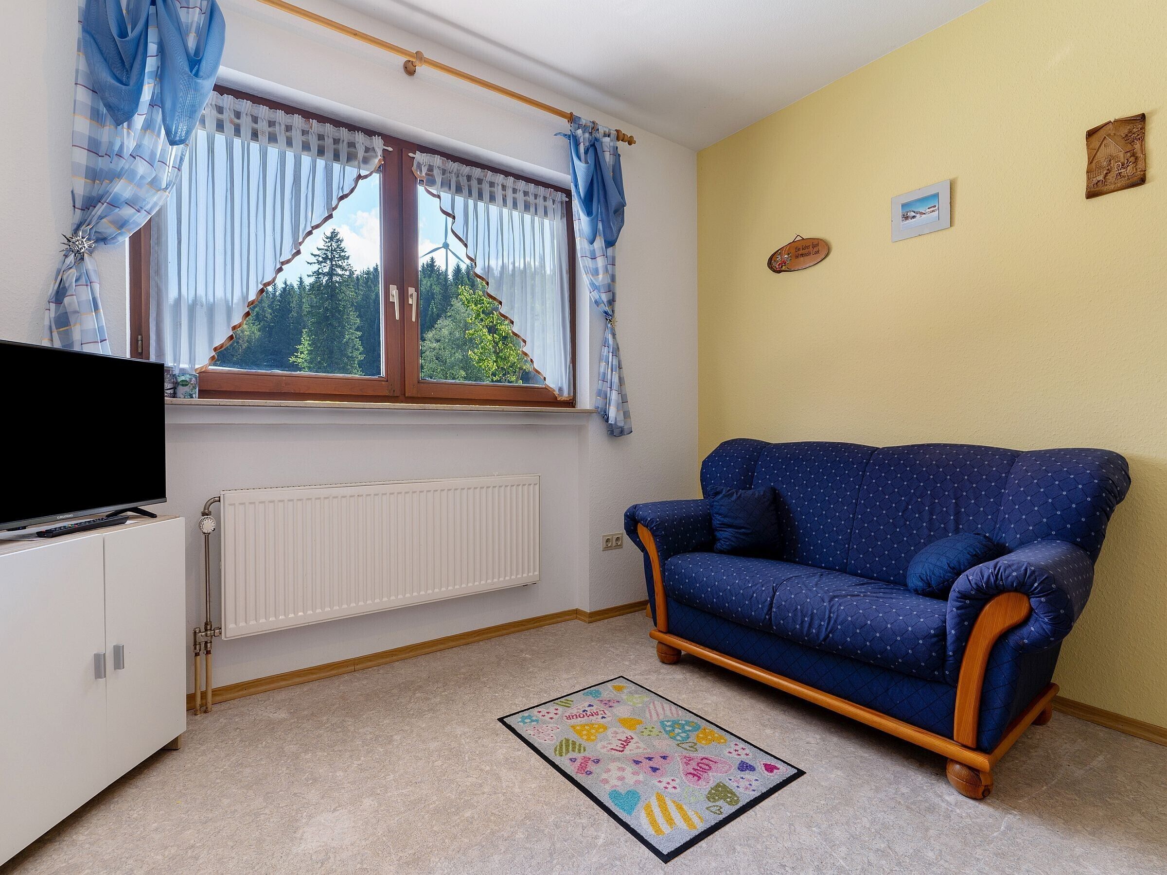 Una habitación con un sofá azul, un televisor sobre un mueble, una ventana con cortinas, un radiador y una alfombra colorida.