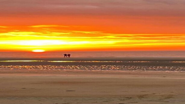 A beach with a sunset. - Cozy Chalet with Terrace (Wechelderzande (Lille))