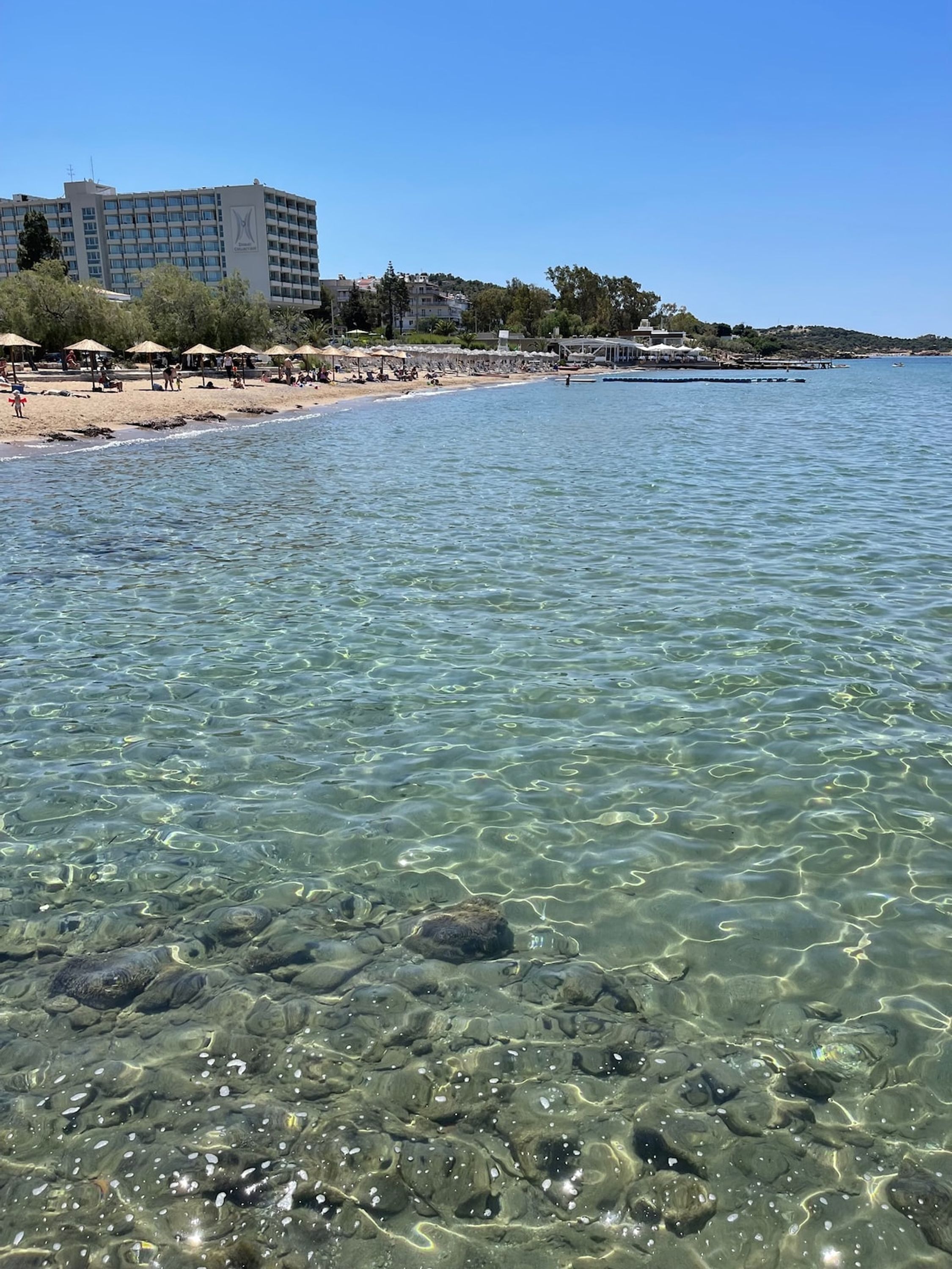Appartement | 1 slaapkamer
