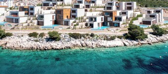 ฟิกส์ แอนด์ โอลีฟส์