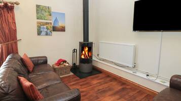 Una sala de estar con chimenea, un sofá, un televisor y un radiador.