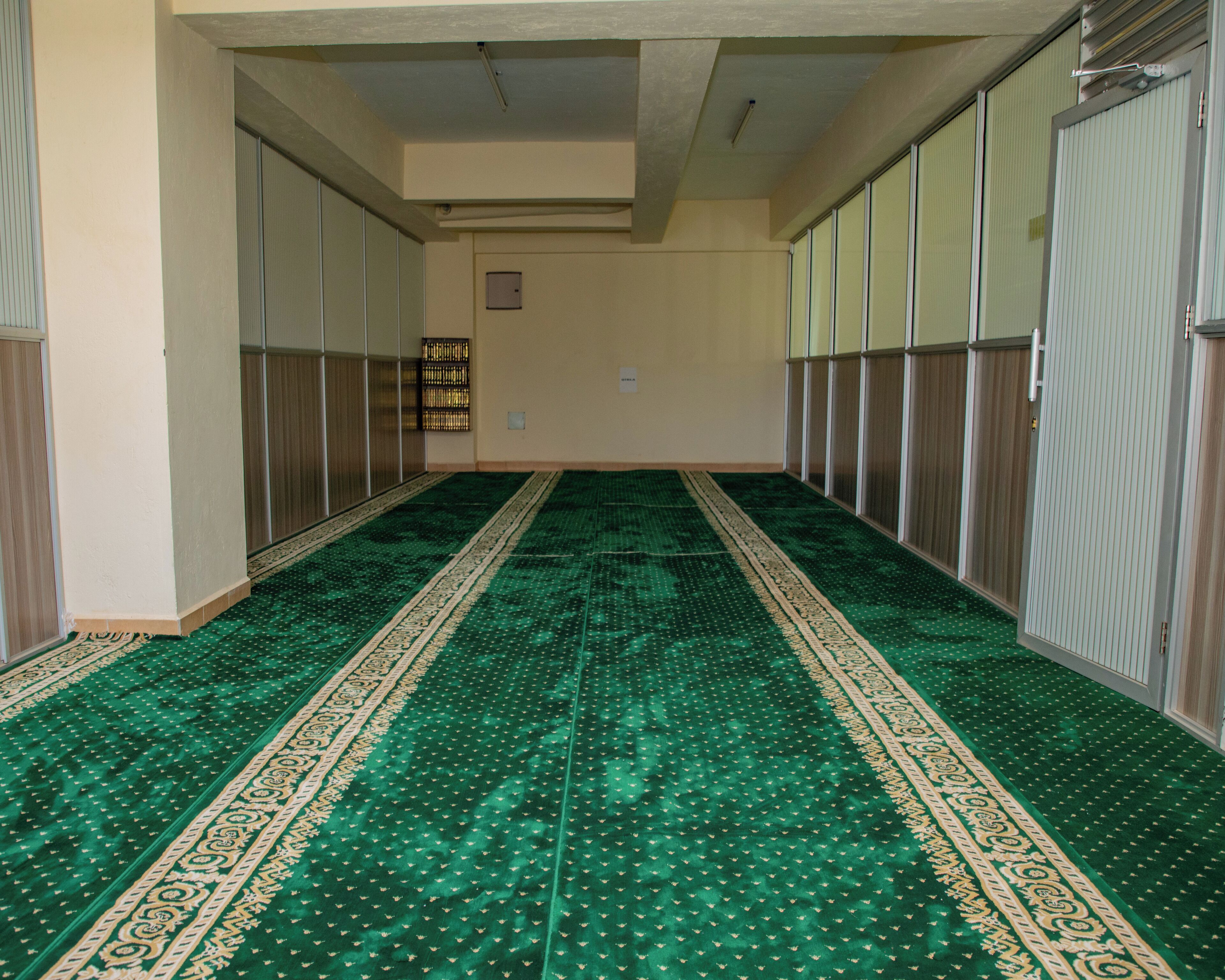 Un couloir avec un tapis à motifs verts, des lambris en bois sur les murs et une porte au fond.