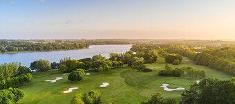 On the Hydrangea Trail