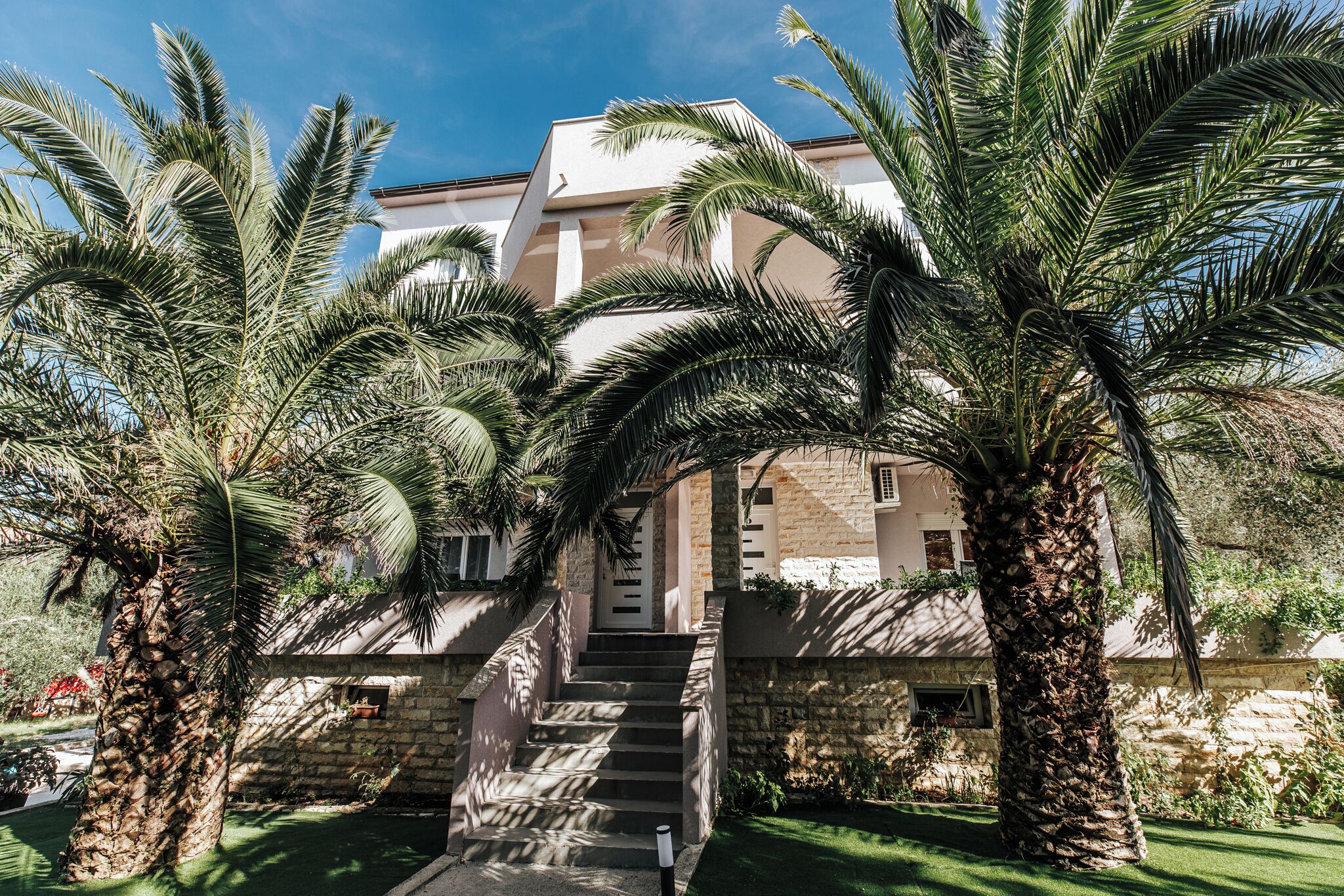 واجهة المنشأة