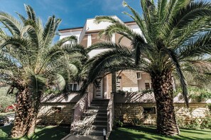 Un bâtiment doté d’un escalier en pierre menant à une porte, le tout entouré de palmiers.
