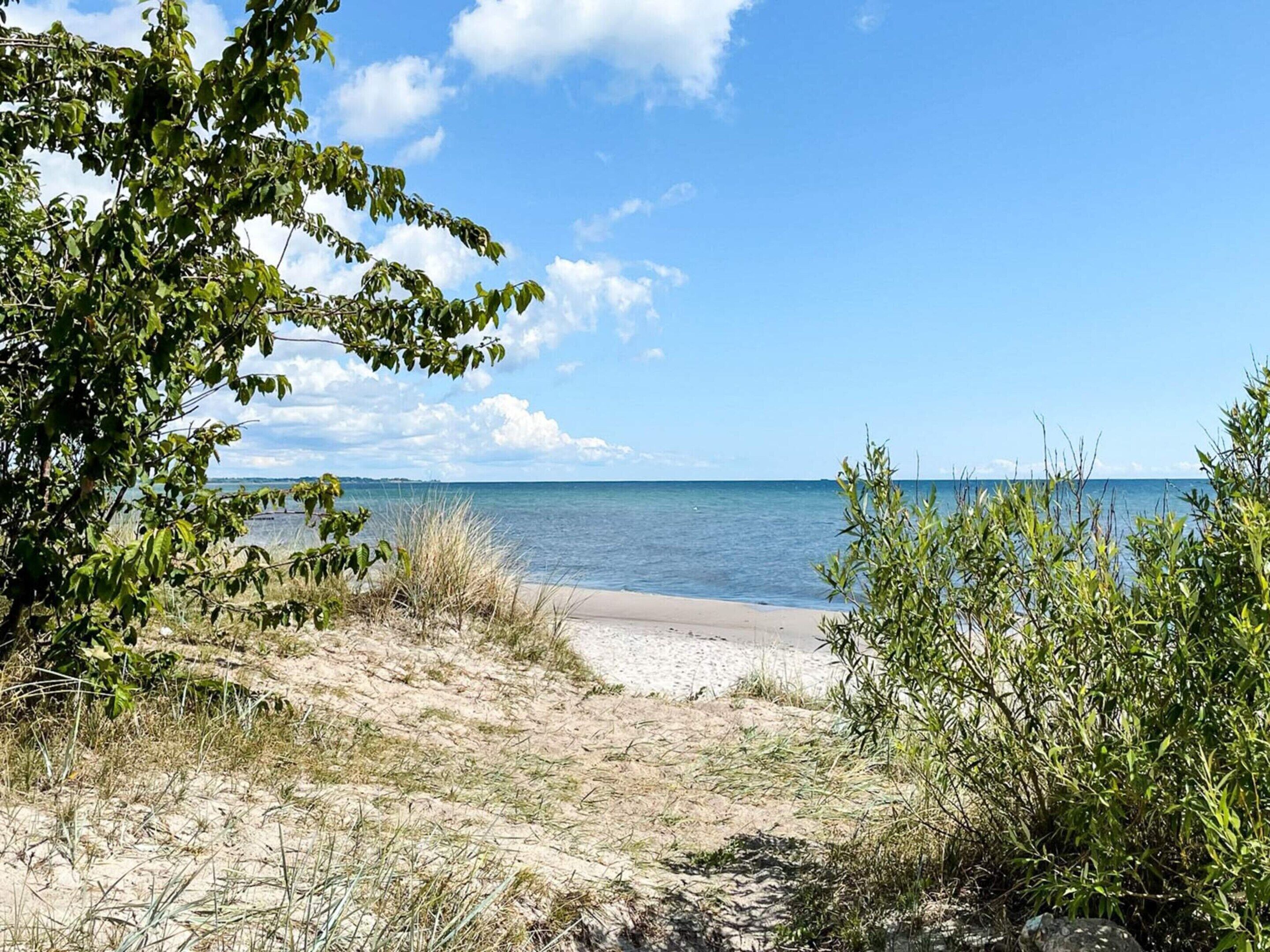 House | Beach