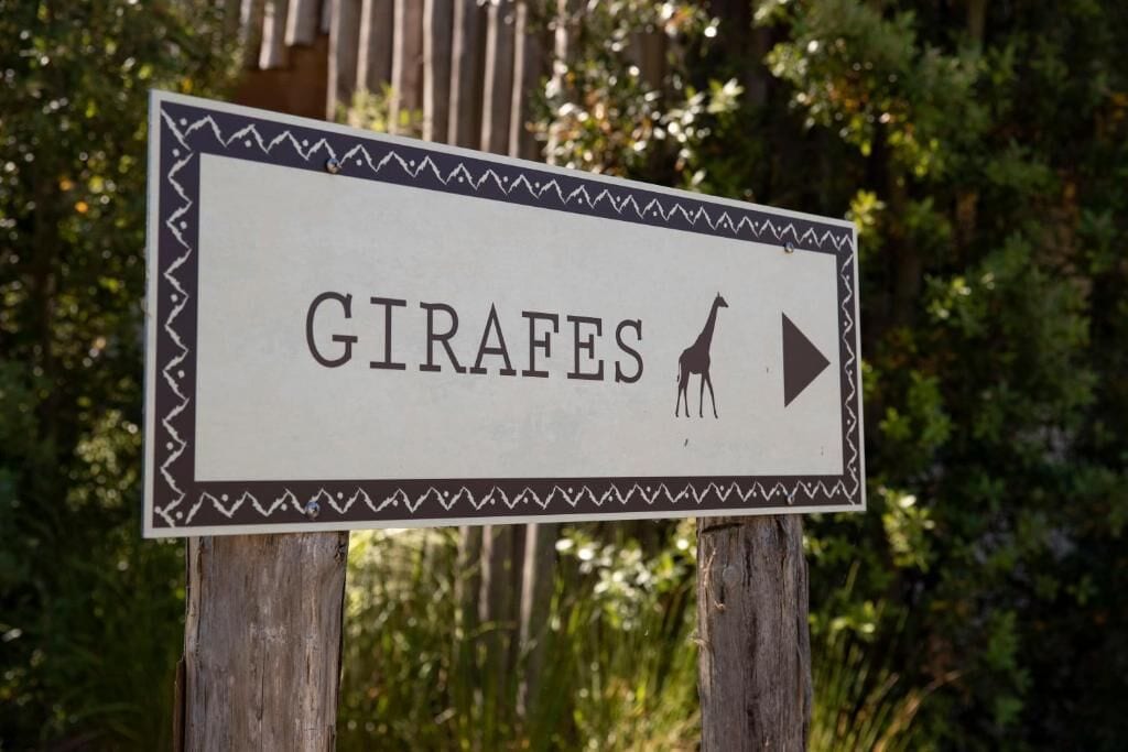 Un panneau indiquant le mot « GIRAFFE » et une flèche pointant vers la droite, indiquant la direction à suivre pour observer les girafes.