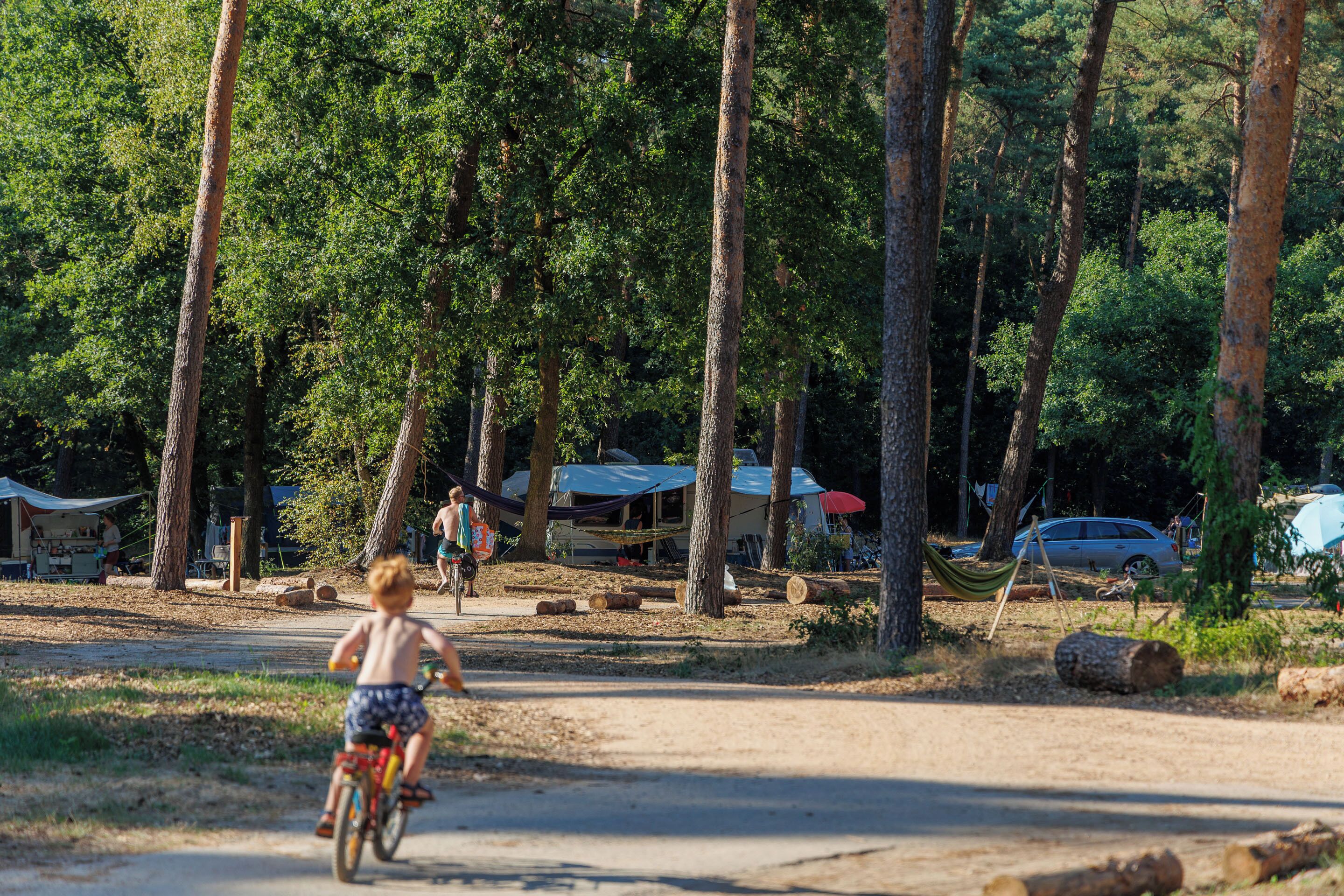 Een camping met tenten, een onverhard pad en een kind dat op een fiets rijdt.