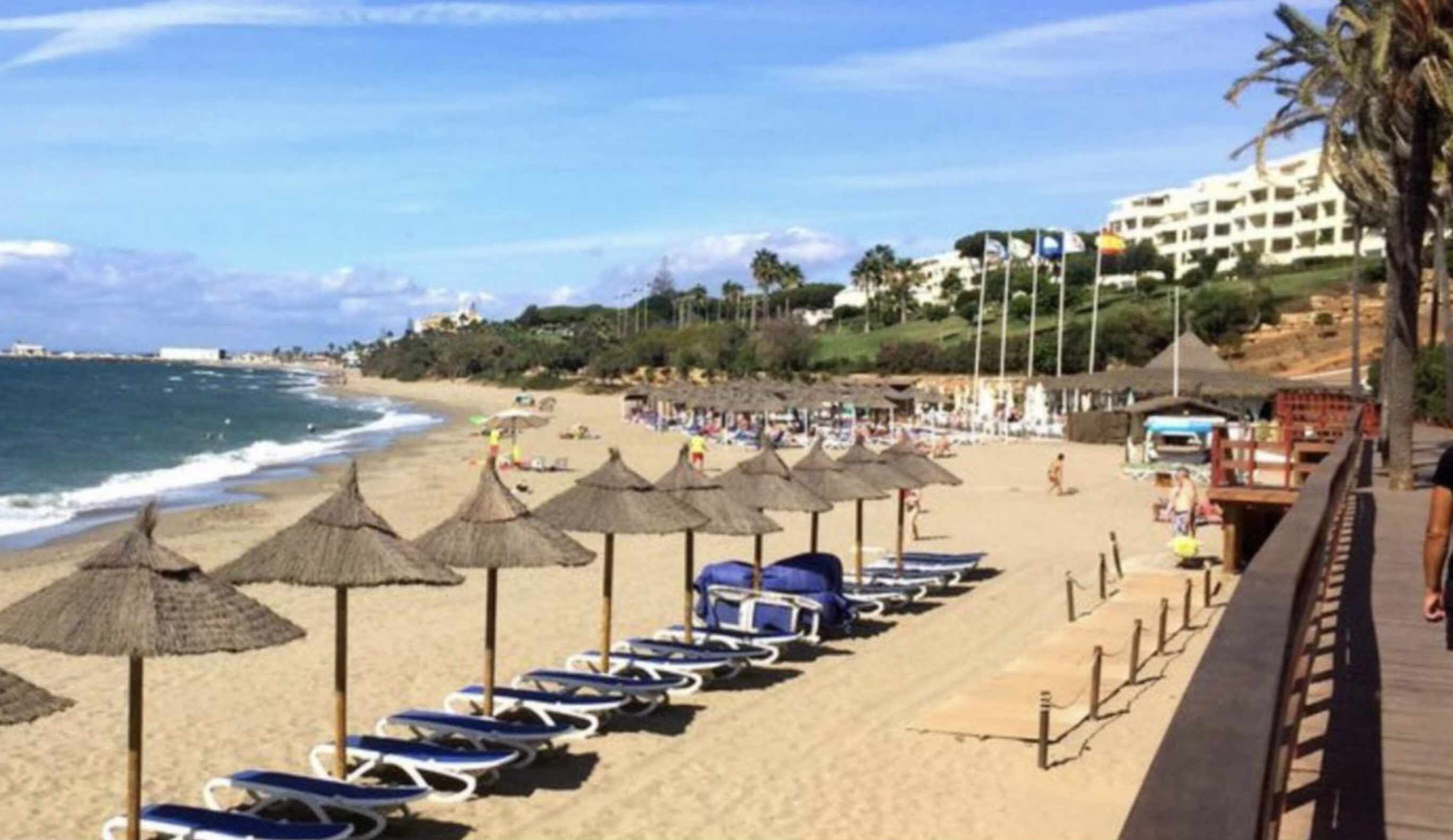 Una playa con filas de tumbonas y sombrillas de paja, un muelle de madera y un edificio al fondo.