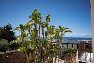 SHANI. ASMAR. MOLLAR. | Terraza o patio