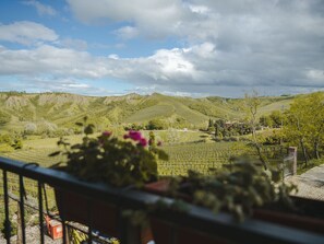 Àrea exterior de l'allotjament