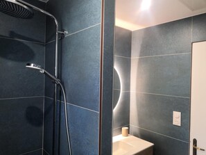 Shower, hair dryer, toilet paper