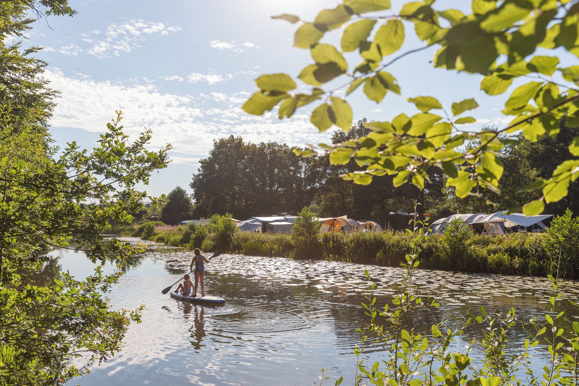Une rivière paisible où l’on peut faire du paddle, bordée d’une végétation luxuriante et d’arbres.