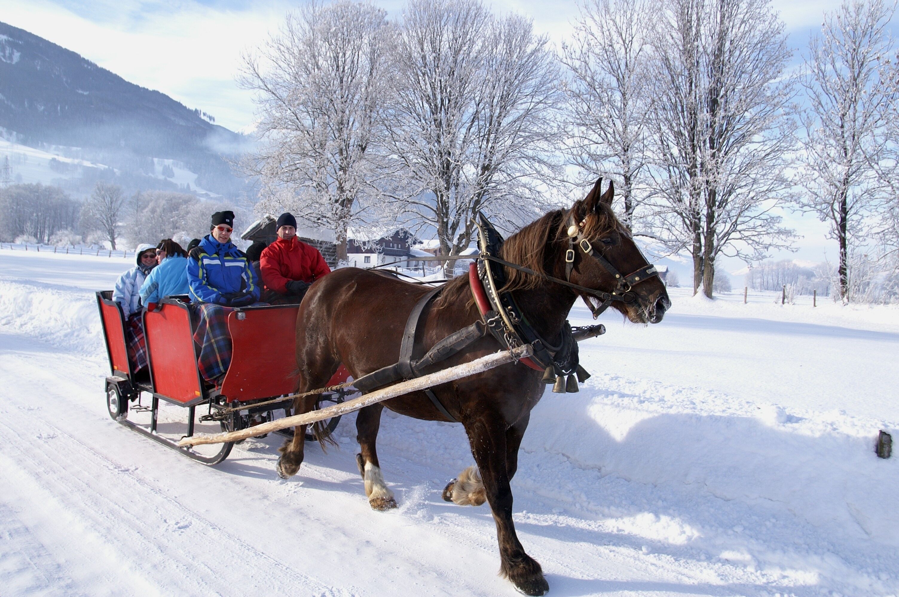 A horse-drawn carriage with passengers on a snowy path.