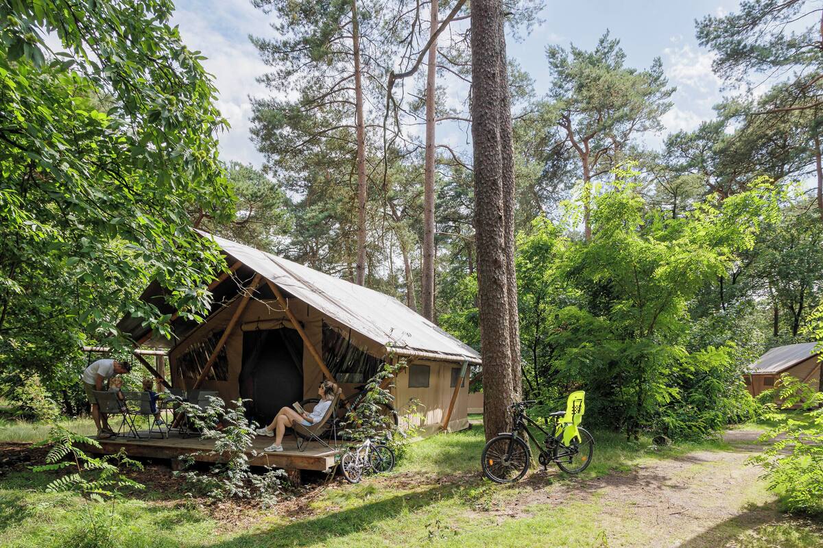 A rustic cabin with a porch, surrounded by tall trees and greenery.