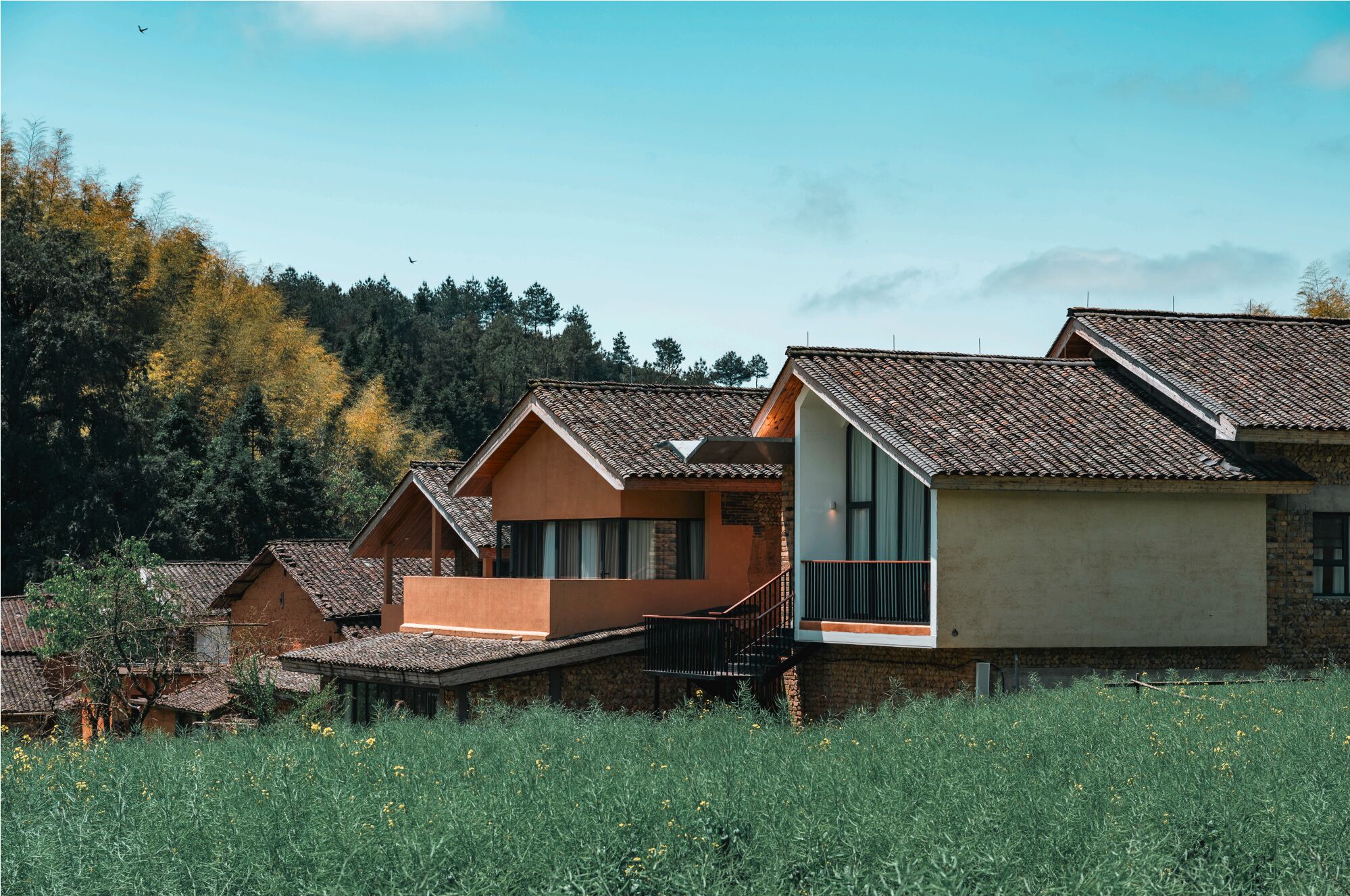 A row of traditional-style houses with sloped roofs, set in a lush green field with a forest in the background.