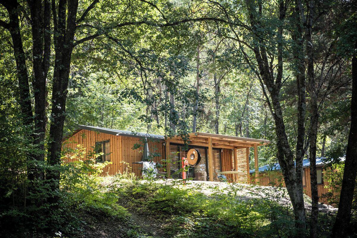 A wooden cabin surrounded by dense forest.