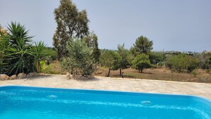 A swimming pool with a stone deck, surrounded by various trees and shrubs.