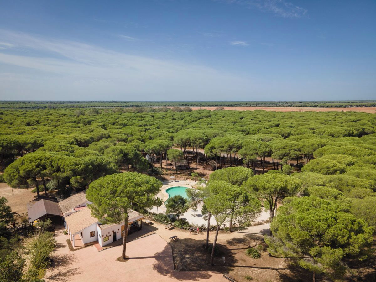 Une vue aérienne d’une propriété dotée d’une piscine entourée d’une végétation luxuriante, de quelques bâtiments et d’un ciel dégagé.