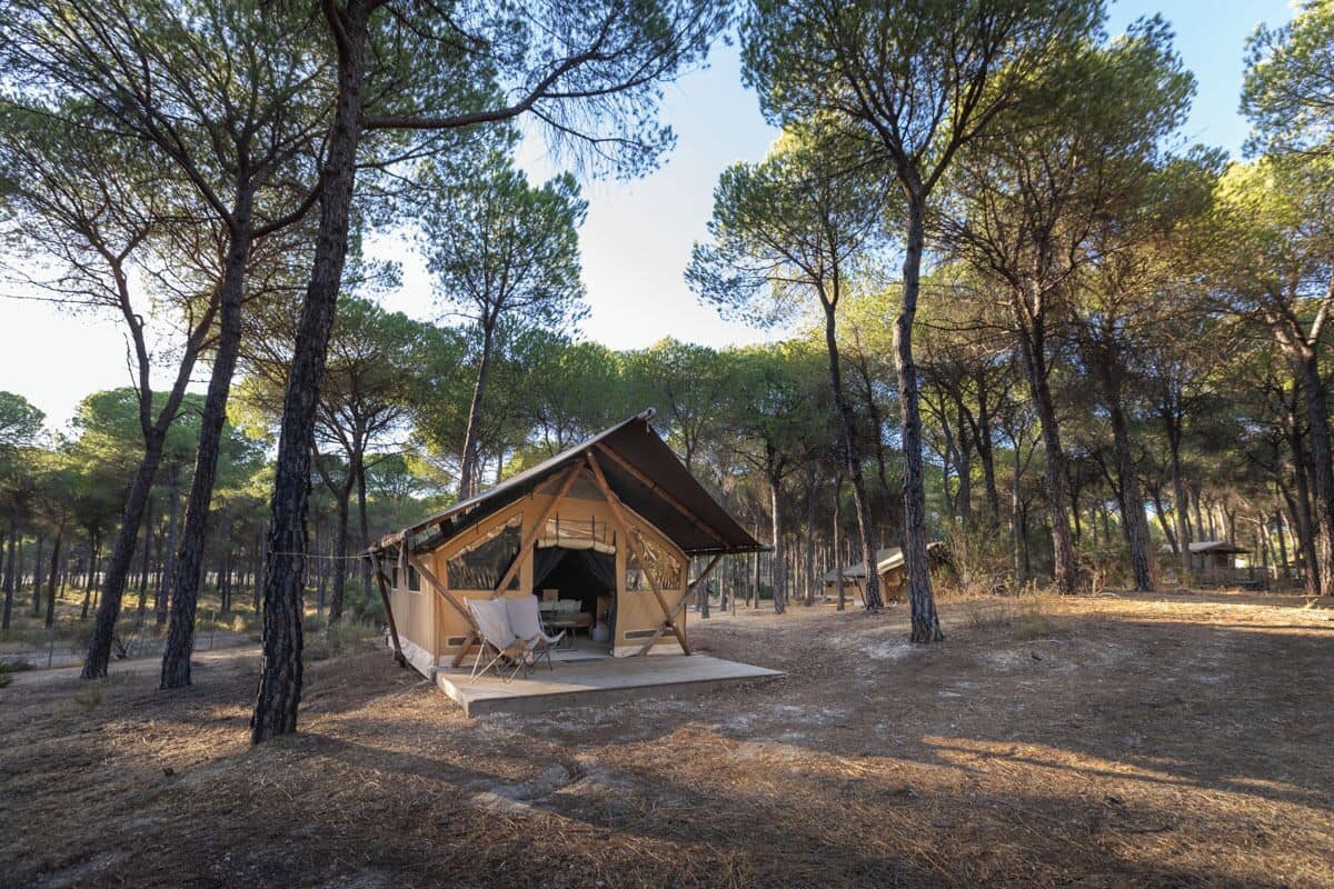 Une cabane en bois dotée d’un porche et d’une table, entourée de grands pins.