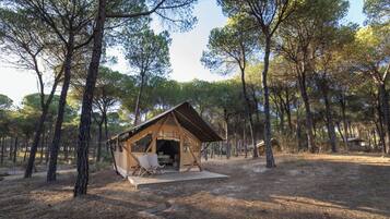 A wooden cabin with a porch and a table, surrounded by tall pine trees.