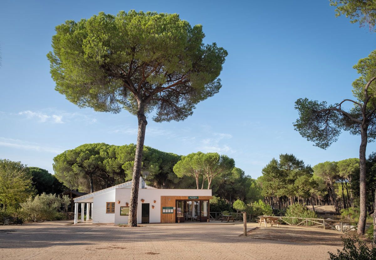A small, single-story building with a white exterior and a wooden door, surrounded by trees and a clear sky.